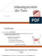 Das Verdauungssystem Der Tiere