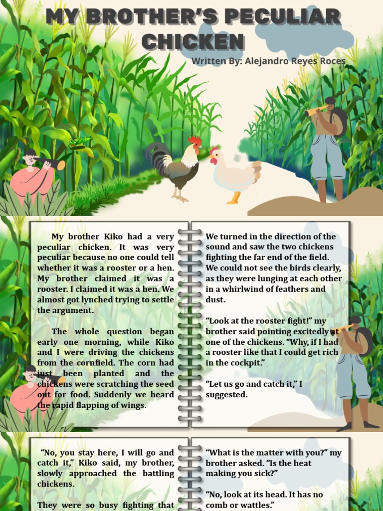 My Brother's Peculiar Chicken PDF Chicken Birds