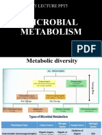 MICROBIAL METABOLISM