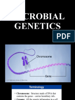 Microbial Genetics