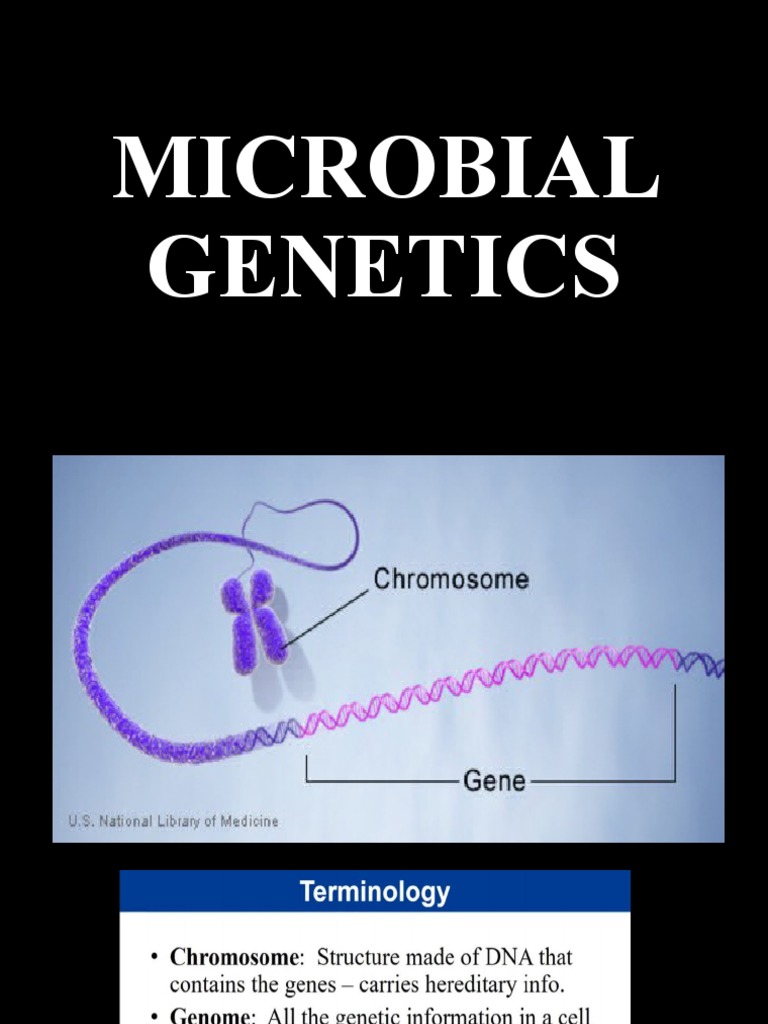 Microbial Genetics Overview | PDF | Finance & Money Management
