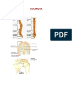 Biologi