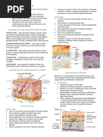 MC1 REVIEWER (Integumentary System)