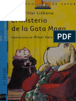 El Misterio de La Gata Maga