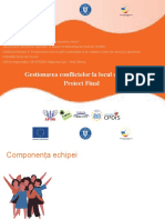 Proiect Final Echipa 2