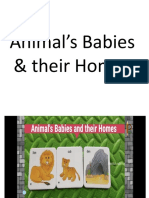 Animal's Babies & Their Homes PPT 3