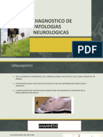 Diagnóstico diferencial de patologías neurológicas en animales