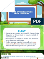 PLANTS Plants and Parts