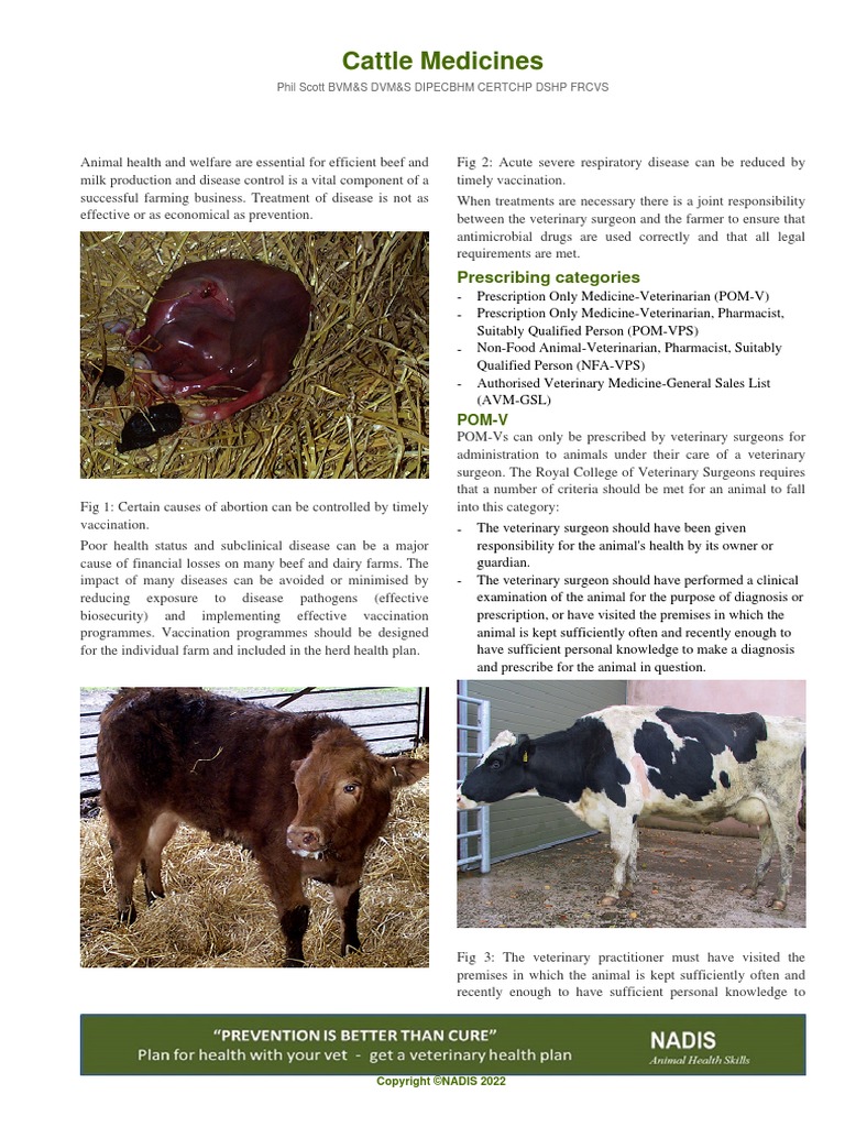 Cattle Medicines PDF Injection (Medicine) Intravenous Therapy