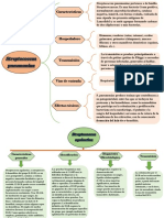Cuadros Sinopticos, Streptococcus