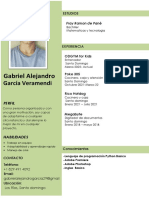 Curriculum Gabriel Garcia