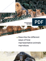 Animal Reproduction Methods
