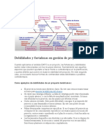 Debilidades y Fortalezas en Gestión de Proyectos