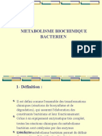 5 - Métabolisme Biochimique Bactérien