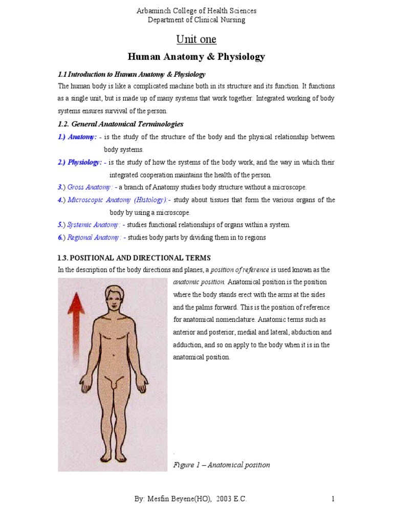 Human Anatomy & Physiology Overview | PDF | Anatomical Terms Of ...