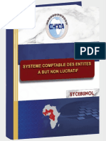 Systeme Comptable Des Entites A But Non Lucratif (Sycebunol) Projet Onec