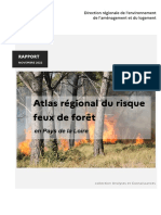 Atlas Regional Feuxdeforet-Pdl Rapport