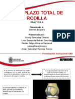 Exposicion Artroplastia de Rodilla