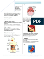 6.2.2 Sindirim Sistemi Konu Anlatımı