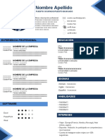 Curriculum Infografia