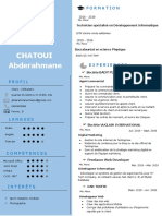 CV Abderahmane Chatoui
