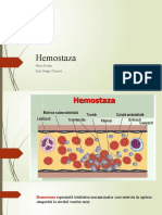 Hemostaza