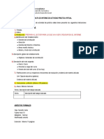 Pauta Elaboración Informe Práctica