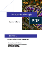 Aula 1 - Introdução À Biologia