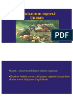 Bi̇tki̇lerde Eşeyli̇ Üreme