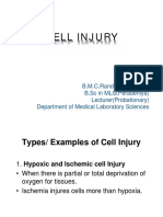 Cell Injury Pathology