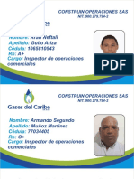 Carnets Gases Del Caribe