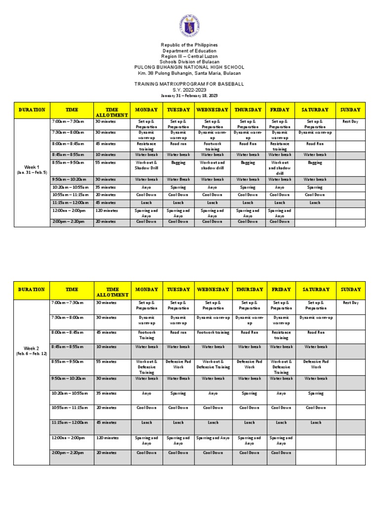 Baseball Training Program Matrix 2023 | PDF | Physical Exercise ...