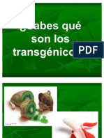 Sabes que es un transgénico -