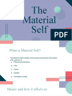 The Material Self