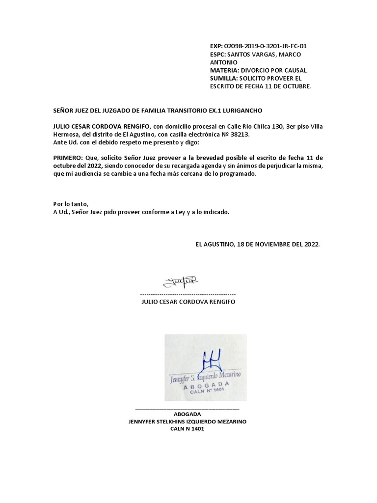 proveer-escrito-pdf