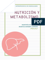 Tarea 1. Conceptos de Metabolismo