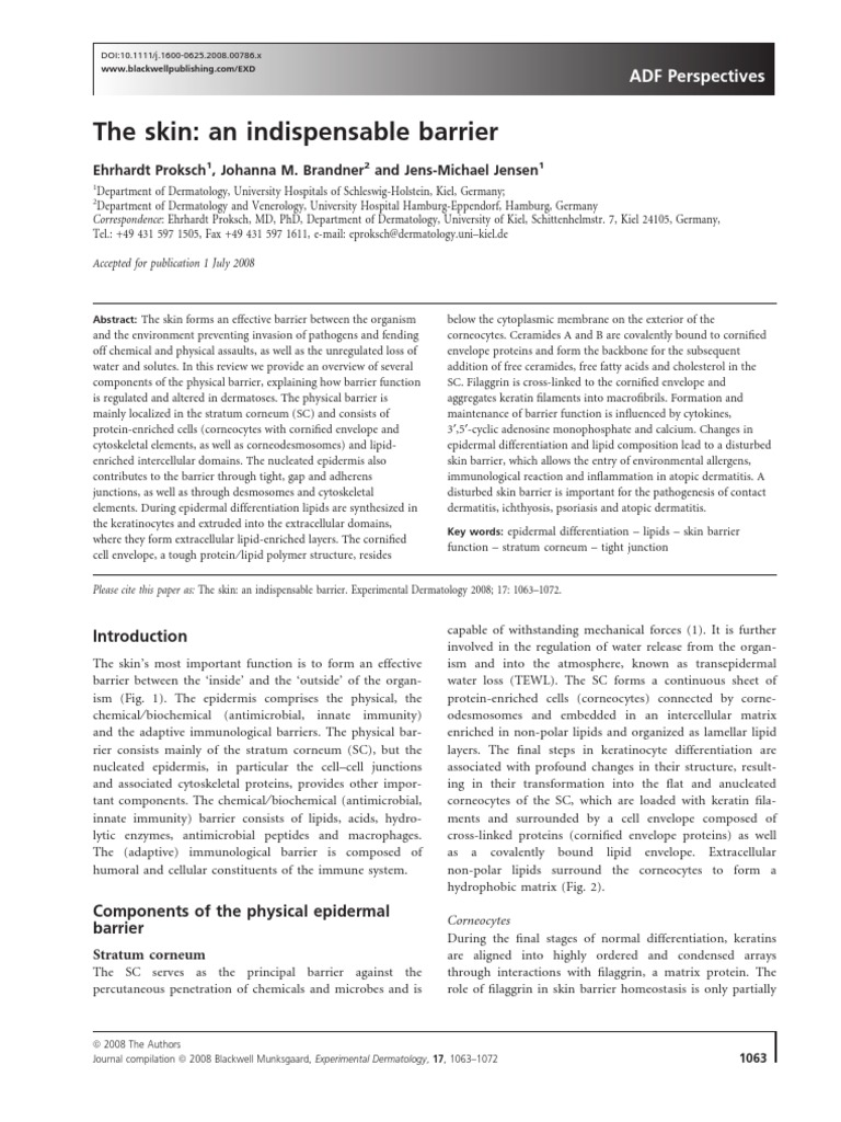 Experimental Dermatology - 2008 - Proksch - The Skin An Indispensable ...