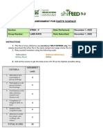 Peer and Self Evaluation Form For Self Raters