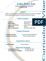 Curriculum Vitae Ana Lidea Pena Jose