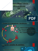 Trabalho Biologia Amebíase