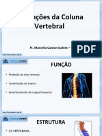 Completo Disfunções Coluna Vertebral Fitness Mais On-1