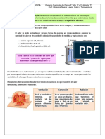 Calor y Temperatura Teoría y Práctica - 014934