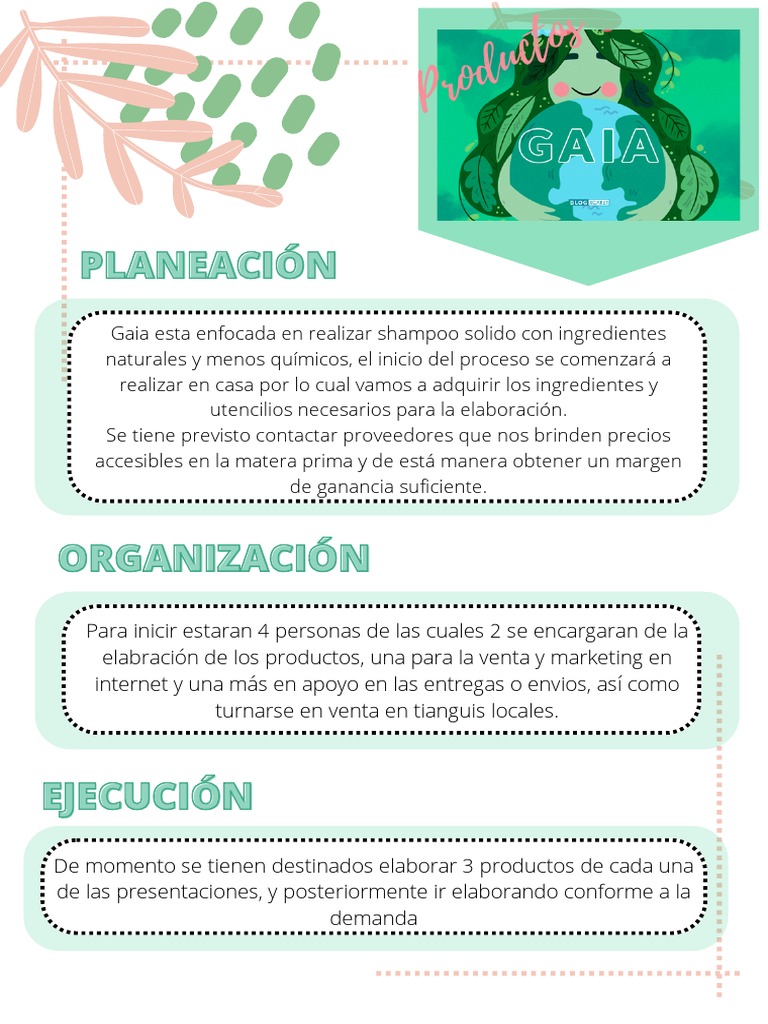 Proceso Administrativo Gaia | PDF | Negocios | Finanzas y dinero
