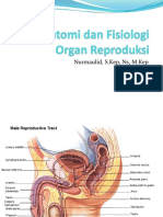 2022 - Anatomi Dan Fisiologi Organ Reproduksi