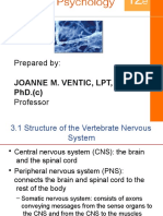 Anatomy of The Nervous System