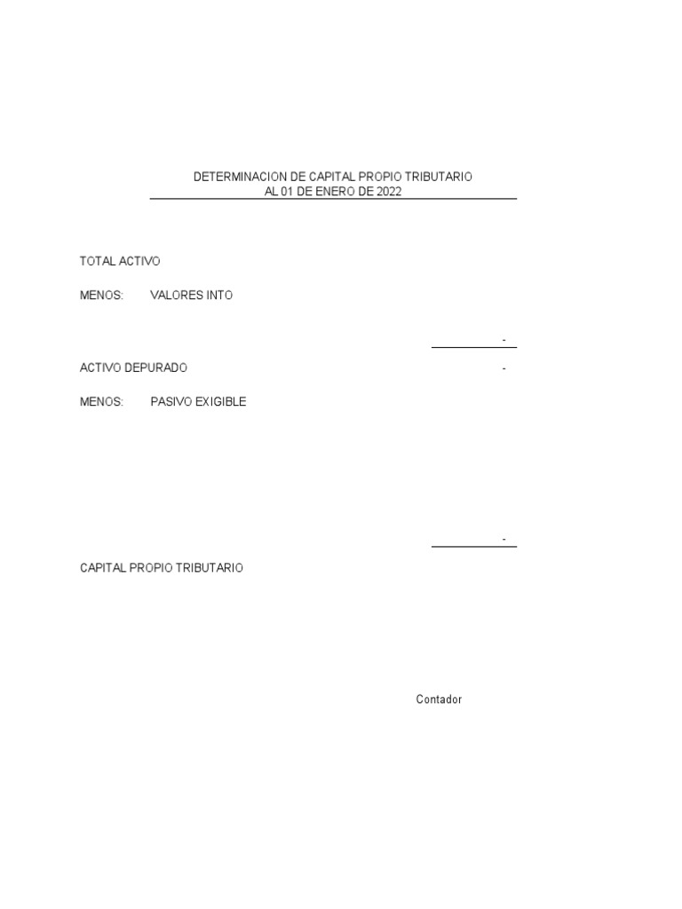 Capital Excel | PDF