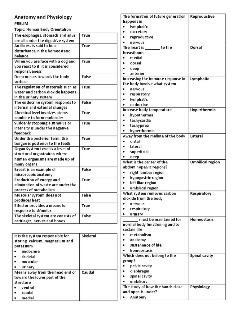 Anatomy and Physiology | PDF | Anatomical Terms Of Motion | Heart Valve