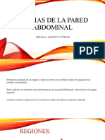 Hernias de La Pared Abdominal HQ-1