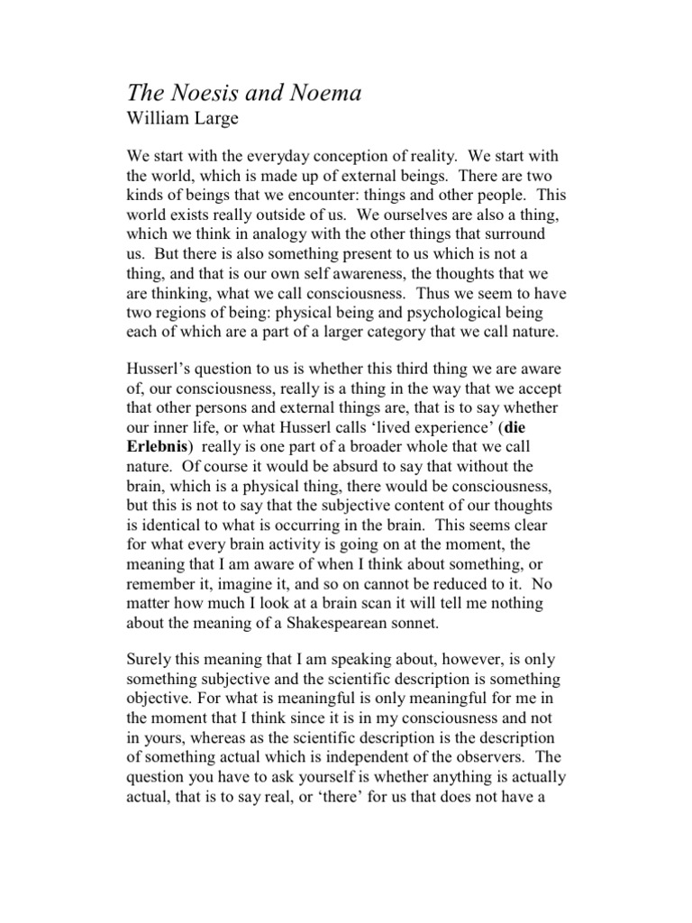 Understanding Noema and Noesis in Husserl | PDF | Phenomenology ...