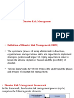 Disaster Risk Management